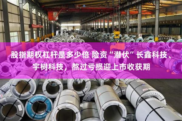 股指期权杠杆是多少倍 险资“潜伏”长鑫科技、宇树科技，熬过亏损迎上市收获期