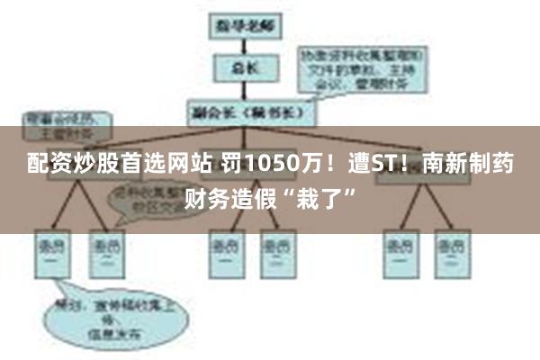 配资炒股首选网站 罚1050万！遭ST！南新制药财务造假“栽了”