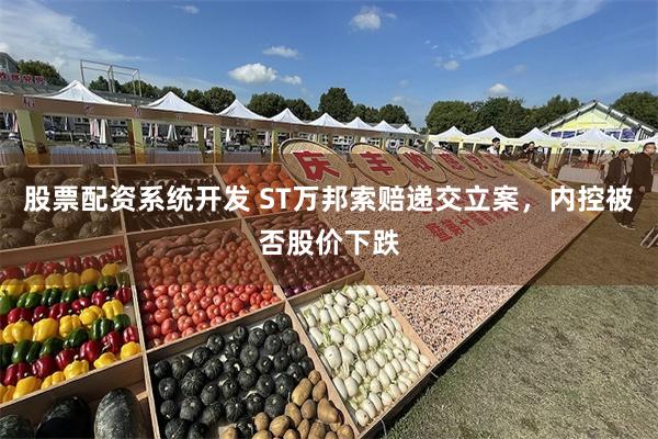股票配资系统开发 ST万邦索赔递交立案，内控被否股价下跌