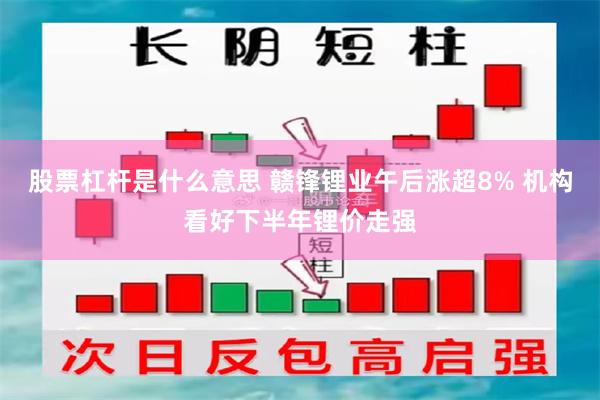 股票杠杆是什么意思 赣锋锂业午后涨超8% 机构看好下半年锂价走强