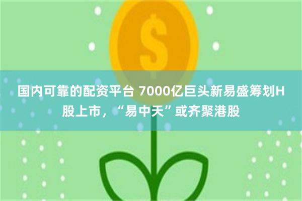 国内可靠的配资平台 7000亿巨头新易盛筹划H股上市，“易中天”或齐聚港股