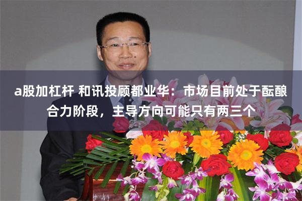 a股加杠杆 和讯投顾都业华：市场目前处于酝酿合力阶段，主导方向可能只有两三个