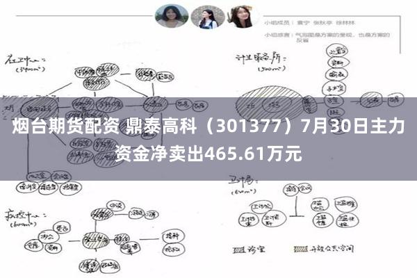 烟台期货配资 鼎泰高科（301377）7月30日主力资金净卖出465.61万元