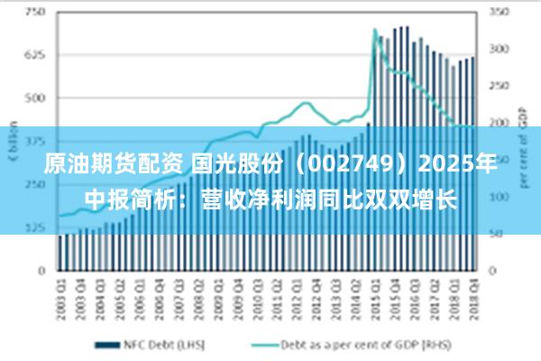原油期货配资 国光股份（002749）2025年中报简析：营收净利润同比双双增长