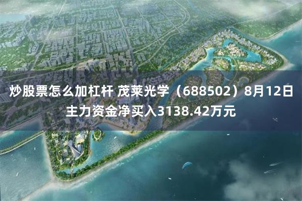 炒股票怎么加杠杆 茂莱光学（688502）8月12日主力资金净买入3138.42万元