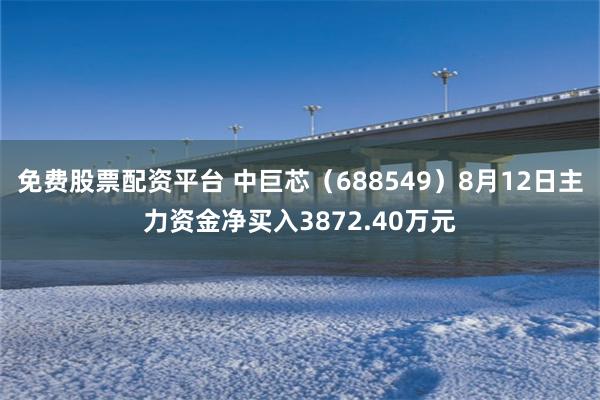 免费股票配资平台 中巨芯（688549）8月12日主力资金净买入3872.40万元