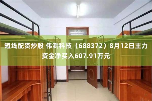 短线配资炒股 伟测科技（688372）8月12日主力资金净买入607.91万元