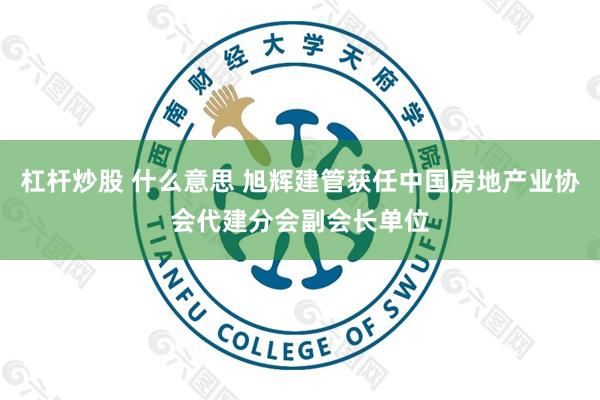 杠杆炒股 什么意思 旭辉建管获任中国房地产业协会代建分会副会长单位