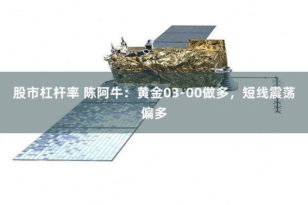 股市杠杆率 陈阿牛：黄金03-00做多，短线震荡偏多