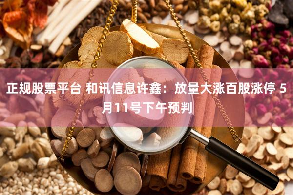正规股票平台 和讯信息许鑫:放量大涨百股涨停 5月11号下午预判