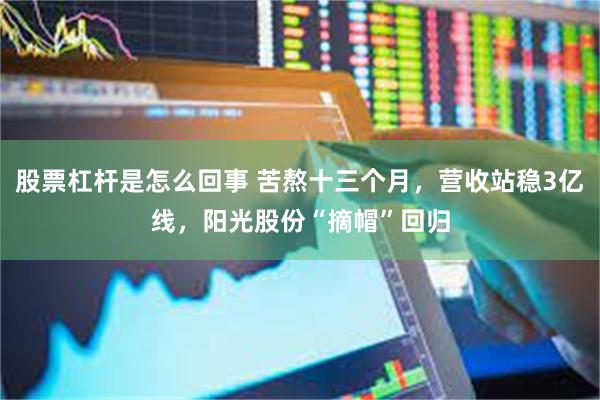 股票杠杆是怎么回事 苦熬十三个月,营收站稳3亿线,阳光股份“摘帽”回归