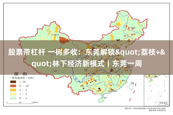 股票带杠杆 一树多收：东莞解锁"荔枝+"林下经济新模式｜东莞一周