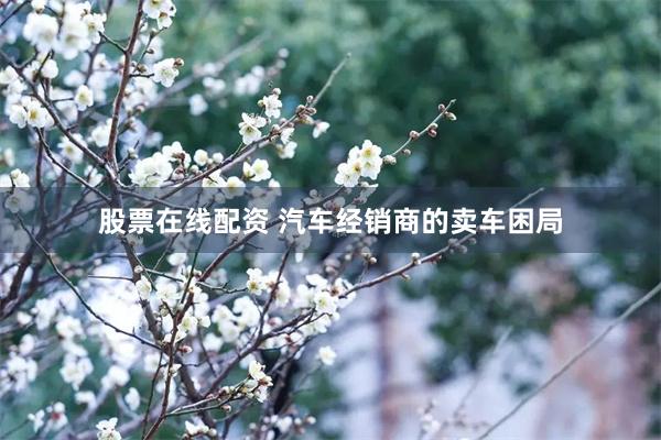 股票在线配资 汽车经销商的卖车困局