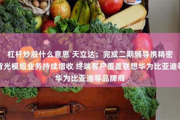 杠杆炒股什么意思 天立达:完成二期辅导携精密器件及背光模组业务持续增收 终端客户覆盖联想华为比亚迪等品牌商