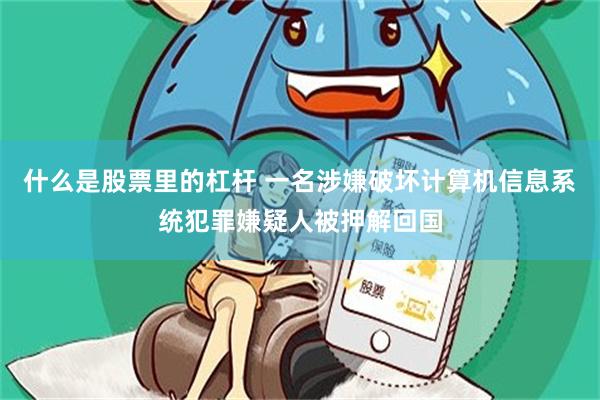 什么是股票里的杠杆 一名涉嫌破坏计算机信息系统犯罪嫌疑人被押解回国