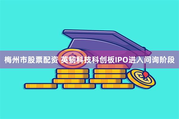 梅州市股票配资 英韧科技科创板IPO进入问询阶段