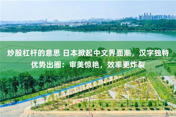 炒股杠杆的意思 日本掀起中文界面潮，汉字独特优势出圈：审美惊艳，效率更炸裂