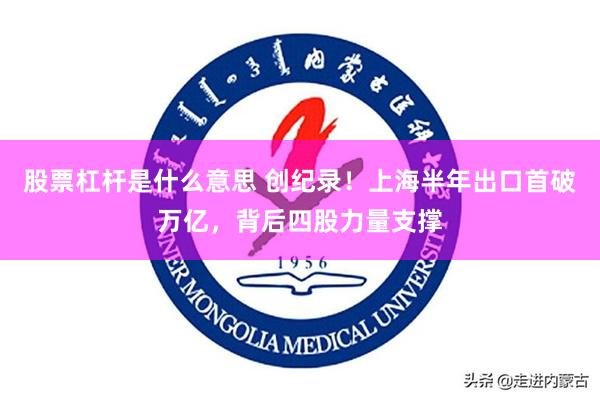 股票杠杆是什么意思 创纪录！上海半年出口首破万亿，背后四股力量支撑