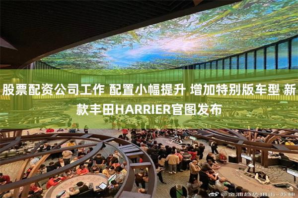 股票配资公司工作 配置小幅提升 增加特别版车型 新款丰田HARRIER官图发布