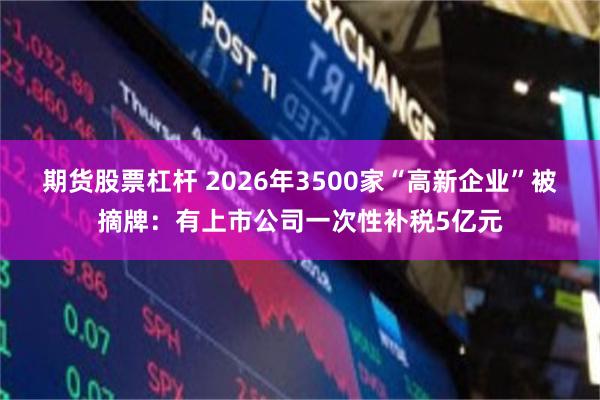 期货股票杠杆 2026年3500家“高新企业”被摘牌：有上市公司一次性补税5亿元