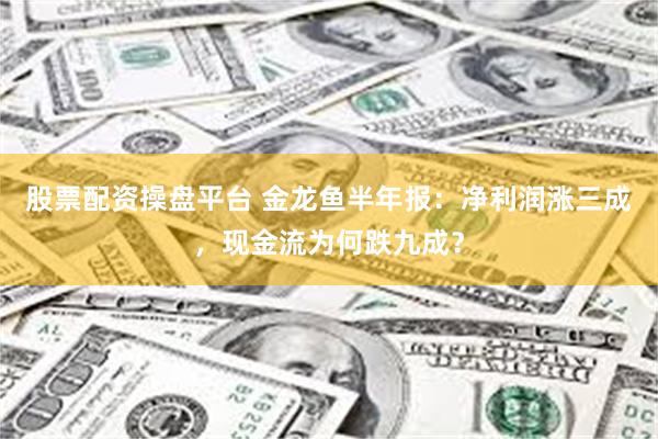 股票配资操盘平台 金龙鱼半年报:净利润涨三成,现金流为何跌九成?