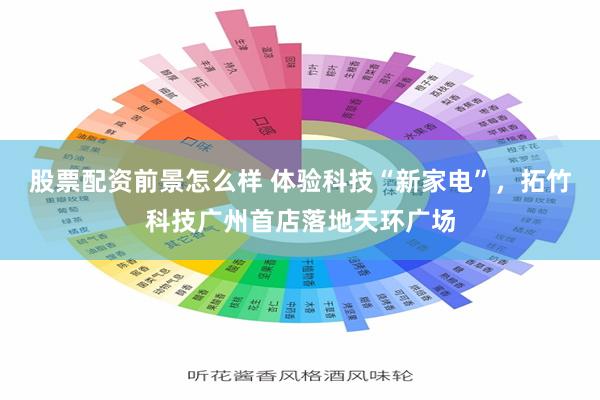 股票配资前景怎么样 体验科技“新家电”，拓竹科技广州首店落地天环广场