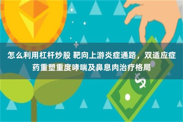 怎么利用杠杆炒股 靶向上游炎症通路,双适应症药重塑重度哮喘及鼻息肉治疗格局