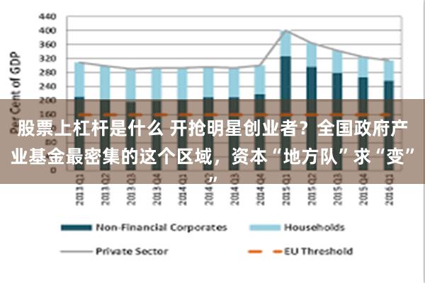 股票上杠杆是什么 开抢明星创业者？全国政府产业基金最密集的这个区域，资本“地方队”求“变”