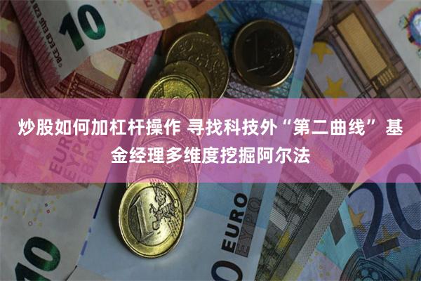 炒股如何加杠杆操作 寻找科技外“第二曲线” 基金经理多维度挖掘阿尔法