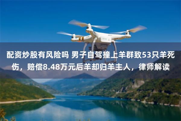 配资炒股有风险吗 男子自驾撞上羊群致53只羊死伤，赔偿8.48万元后羊却归羊主人，律师解读