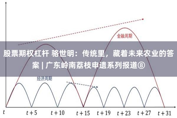 股票期权杠杆 骆世明：传统里，藏着未来农业的答案 | 广东岭南荔枝申遗系列报道⑧
