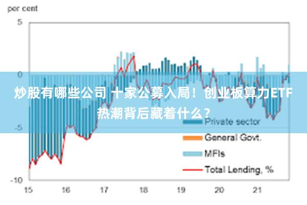 炒股有哪些公司 十家公募入局！创业板算力ETF热潮背后藏着什么？