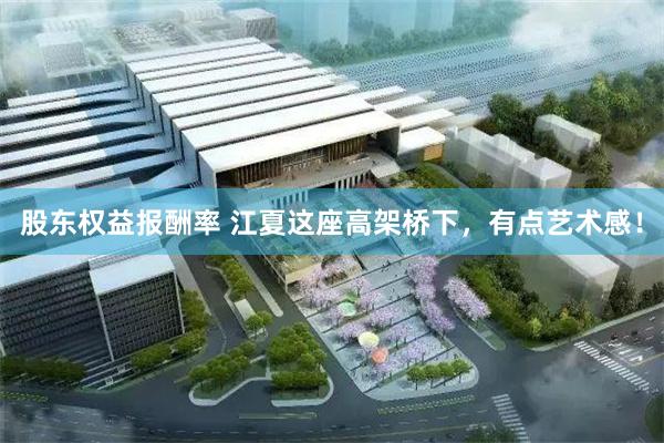 股东权益报酬率 江夏这座高架桥下，有点艺术感！