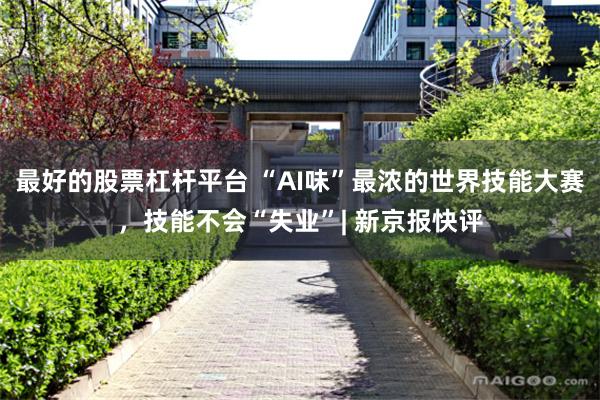 最好的股票杠杆平台 “AI味”最浓的世界技能大赛，技能不会“失业”| 新京报快评