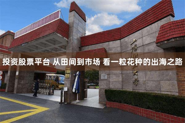 投资股票平台 从田间到市场 看一粒花种的出海之路