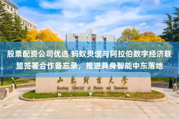 股票配资公司优选 蚂蚁灵波与阿拉伯数字经济联盟签署合作备忘录，推进具身智能中东落地