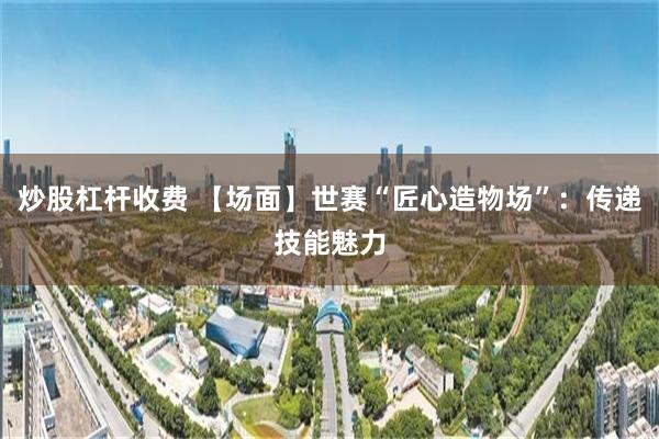 炒股杠杆收费 【场面】世赛“匠心造物场”:传递技能魅力