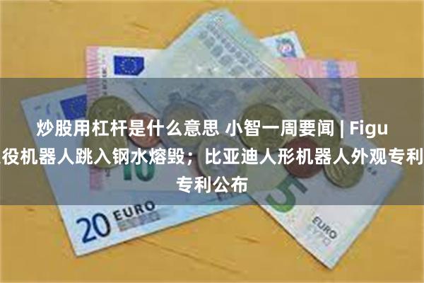 炒股用杠杆是什么意思 小智一周要闻 | Figure退役机器人跳入钢水熔毁;比亚迪人形机器人外观专利公布