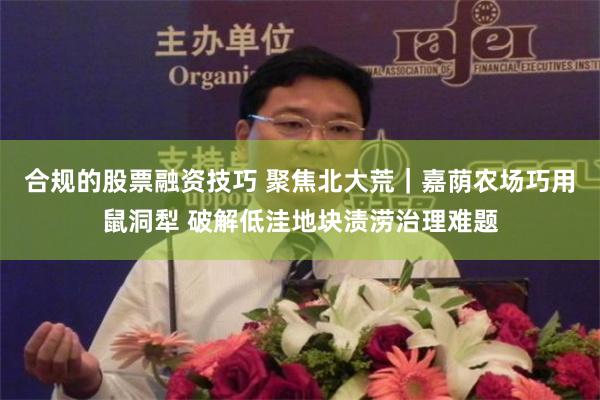 合规的股票融资技巧 聚焦北大荒｜嘉荫农场巧用鼠洞犁 破解低洼地块渍涝治理难题